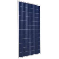 Panel Solar 320W 24V Amerisolar Policristalino