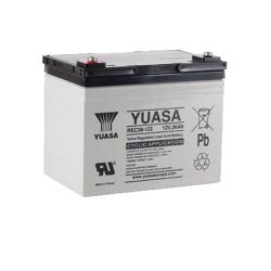 Batería Yuasa REC36-12 12V 36Ah