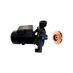 Bomba Centrífuga 1CV 1,2kW Ziri CPM158