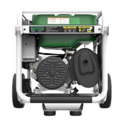 Generador Gas 3000W Genergy Natura