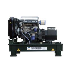 Generador Diesel TYD12E 12KVA Trifásico Abierto
